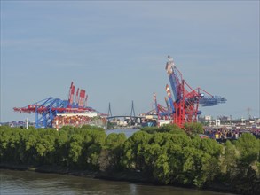 Spacious container harbour with cranes and bridge, in the foreground trees and water, cranes and