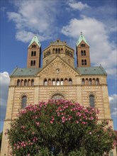 A church with towers and a blooming rose bush in the foreground under a blue sky with clouds,