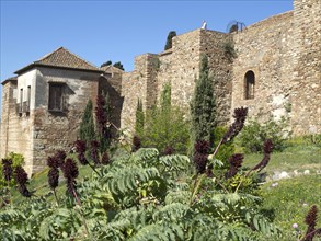 Historic building next to old stone walls, surrounded by green plants and flowers under a blue sky,
