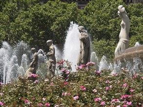 Close-up of a fountain with statues, surrounded by blooming flowers and water fountains, fountain
