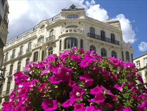 Old building with pink flower clusters in the foreground under a clear sky, blossom and palm trees