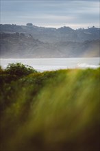 Beach at sunset, dunes in the foreground and rocky landscape in the background. Taken at Waihi
