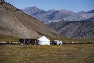 Yurt and herd of sheep in mountain landscape, Karkyra Valley, Karkyra River, Kyrgyzstan, Asia