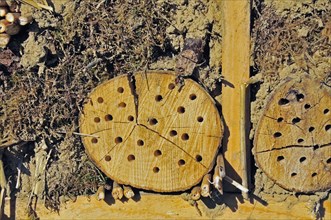 Nesting aid for wild bees and other insects with wooden logs, wild bee nesting aid, insect nesting