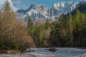 A river meanders through a forest with snow-capped mountains in the background. Almtal Upper