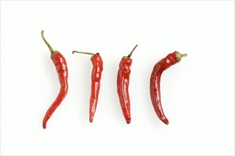 Chilli (Capsicum frutescens) on a white background, chilli pepper, chilli peppers