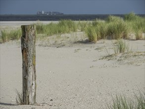 A quiet beach with a wooden post in the foreground, grassy dunes and the sea in the background,
