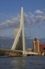 Modern bridge in front of skyscrapers, water in the foreground, cloudy sky, skyline of a modern