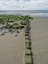 Stony coastline with moss covered stones and calm sea in the background, clouds on the beach with