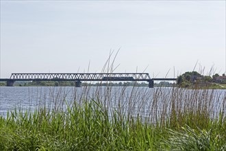 Bridge, Elbe, Lauenburg, Schleswig-Holstein, Germany, Europe