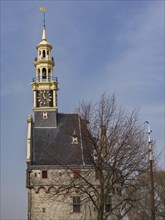 Historic stone clock tower with trees in the foreground against a blue sky, tower with a golden