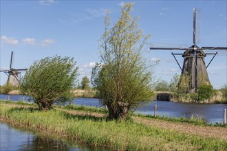Two windmills in a landscape of fields and meadows next to a river under a blue sky, many historic