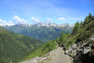Trail from Wetterkreuzhuette to Zupalseehuette, Virgen, Venediger Berggruppe, Tyrol, Austria,