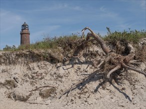 A lighthouse stands on a dune with plants and exposed tree roots under a blue sky, lighthouse on a