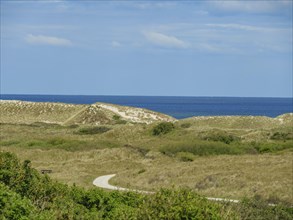 Sand dunes and grassy hills with coastal views of the sea under a blue sky with scattered clouds,