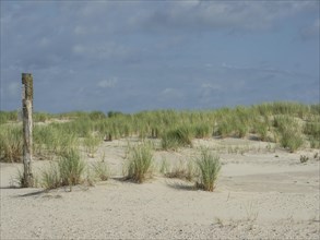 Barren sand dunes with scattered tufts of grass under a partly cloudy sky, lonely beach with dune