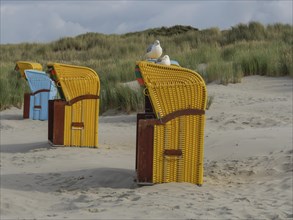 Yellow and blue beach chairs with seagulls, surrounded by high dunes and peaceful atmosphere,