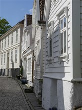 Narrow alley with white wooden houses and cobblestones in the sunshine, white wooden houses with