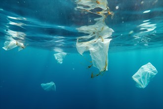Plastic waste swimming in ocean, AI generated