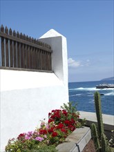Fence by the sea with flowers and cacti, Puerto de la cruz, Teneriiffa, Spain, Europe