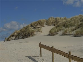 A tranquil beach landscape with sand dunes, grasses and a blue sky with a few clouds, dunes and
