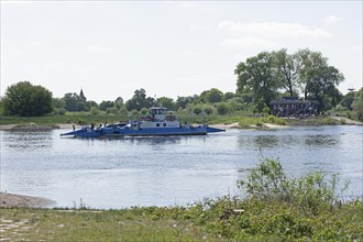 Elbe ferry, Elbe, Neu Bleckede, Bleckede, Lower Saxony, Germany, Europe