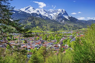 View of the village in spring in front of the Zugspitzgruppe 2962m in the Wetterstein Mountains,