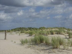 Beach with grassy dunes under a slightly cloudy sky, lonely beach with dune grass in the