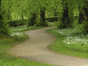A winding path leads through a green forest with blooming flowers at the edge, small footpath