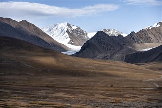 Riders on the autumnal plateau with brown grass, glaciated and snowy peaks, Sary-Tor Glacier, Ak