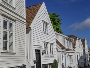 Row of white wooden houses with red tiled roofs under a blue sky, white wooden houses with green
