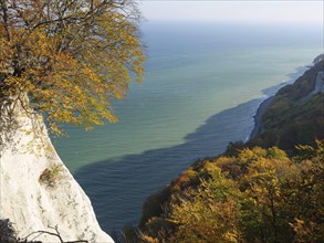 A steep slope with autumn foliage and a view of the sea in the background, autumn foliage and white