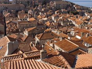 Scenic view of a compact town with red-tiled rooftops and historic architecture, bathed in