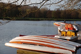Collected pedal boats and jetty on a quiet lake surrounded by autumnal trees, rowing boats and