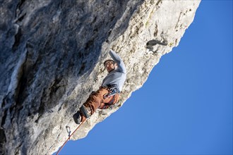Sport climbing with rope, climber on a rock face, Frauenwasserl climbing garden, Ammergau Alps,