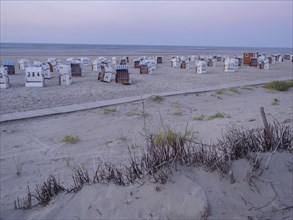 A spacious, quiet beach with white beach chairs and dune grass in the soft light of dusk, setting