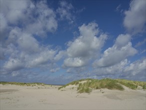 Extensive sand dunes with tufts of grass and a clear blue sky with clouds, lonely beach with dune