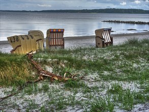 A quiet beach with several beach chairs surrounded by driftwood and beach grasses under a cloudy