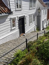 Curved cobbled street between white wooden houses and lush gardens, white wooden houses with green