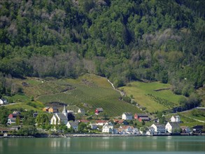 Small village with colourful houses and a church in a green hilly landscape by a lake, shimmering