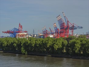 Container harbour with cranes and containers behind a row of trees on the waterfront under a clear