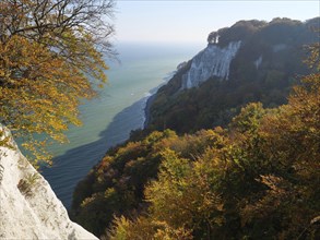 A picturesque landscape of cliffs and autumnal trees stretching out over a calm sea, autumn foliage