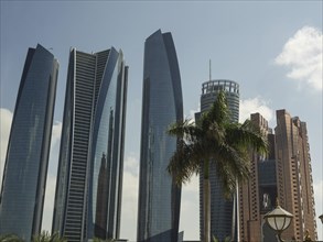 A group of modern glass skyscrapers with palm trees in the foreground on a sunny day, modern