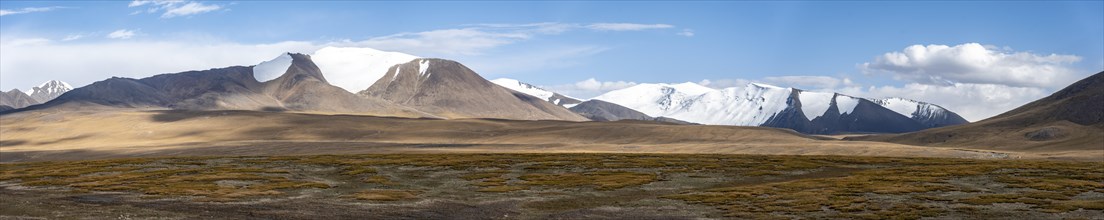 Autumnal plateau with brown grass, glaciated and snow-covered peaks, Ak Shyrak Mountains, near the