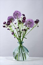 Vase with violet bouquet with Giant onion (Allium giganteum) flowers