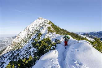 Mountaineer on the ridge of the Aiplspitz in the snow, snow-covered mountain landscape with