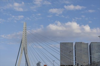 Modern bridge with ropes against a background of clouds and tall buildings, skyline of a modern