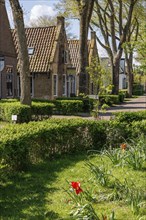 A village street with well-tended front gardens, blooming flowers and trees on a sunny day,