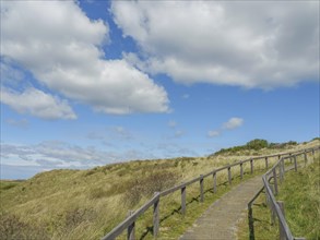 A path with wooden railings leads through the dunes under a blue sky with white clouds, dune and