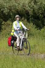 Cyclist, Elbe cycle path near Boizenburg, Mecklenburg-Western Pomerania, Germany, Europe